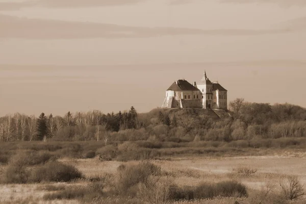Widok Ogólny Zamek Olesko — Zdjęcie stockowe