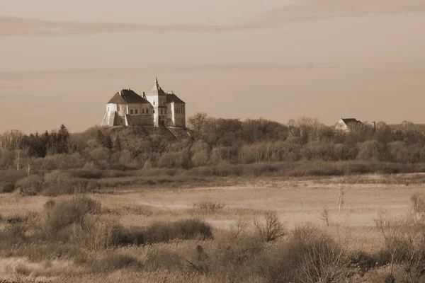 Obecný Pohled Hrad Olesko — Stock fotografie