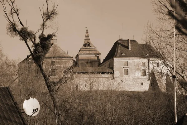 Allgemeine Ansicht Burg Olesko — Stockfoto