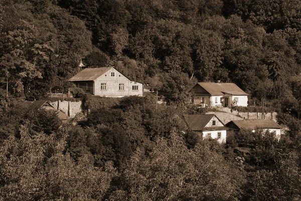 Départ Simple Dans Vieille Forêt — Photo