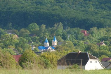  Bekarlık eski ormanda başlar.