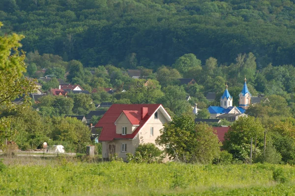 Samotný Začátek Starém Lese — Stock fotografie