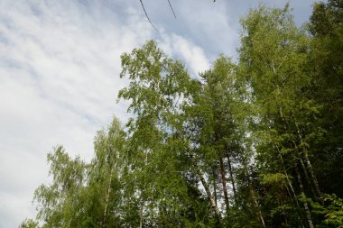 Sessiz köşe güzel doğa