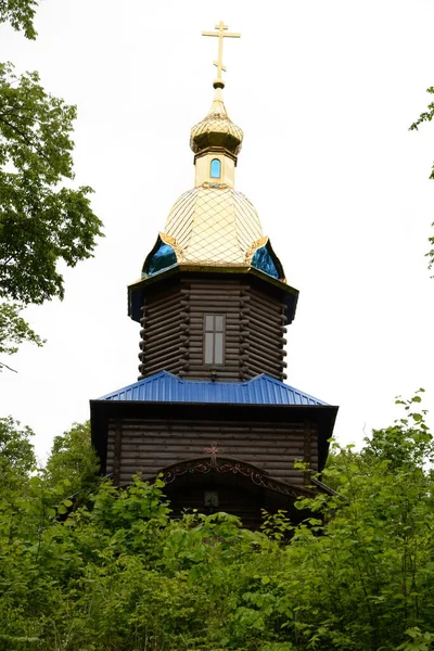 Temple Pochayiv Icône Mère Dieu — Photo