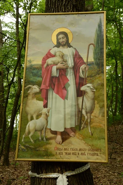  The Good Shepherd Icon- (Yunan, ho poimen ho kalos, lat. Papaz ikramiyesi)