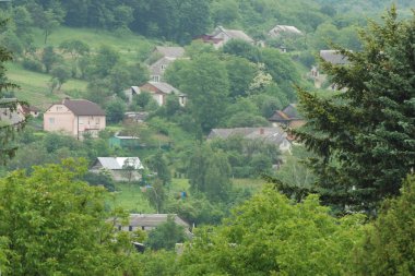  Bekarlık eski ormanda başlar.