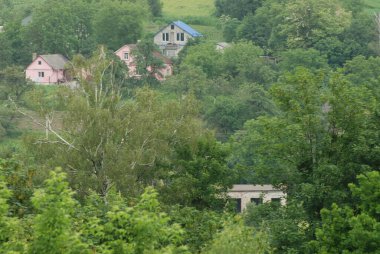  Bekarlık eski ormanda başlar.