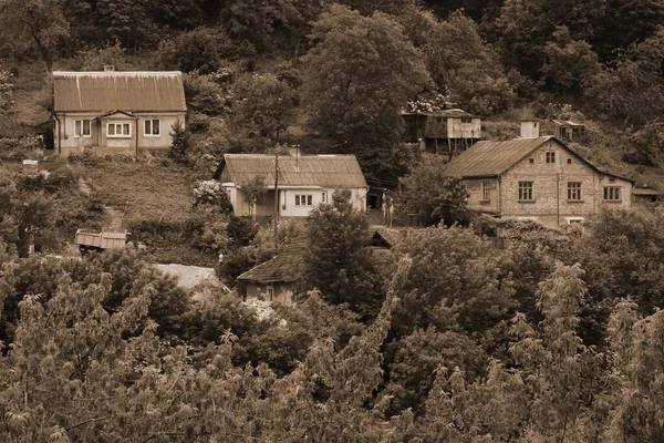 Samotný Začátek Starém Lese — Stock fotografie