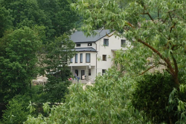 Départ Simple Dans Vieille Forêt — Photo