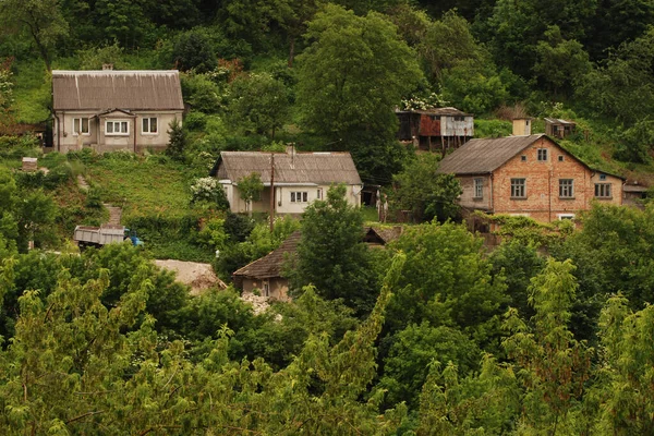 Одномісні Стартують Старому Лісі — стокове фото