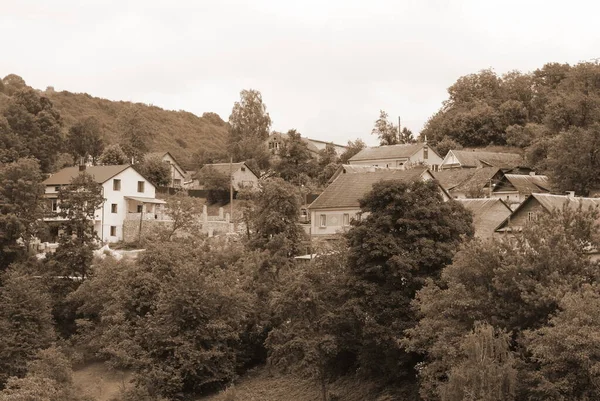 Singel Börjar Den Gamla Skogen — Stockfoto