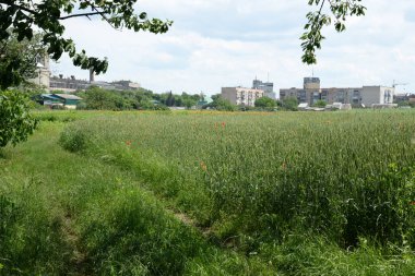 Pencereden şehre olan manzara.