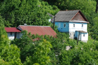  Bekarlık eski ormanda başlar.