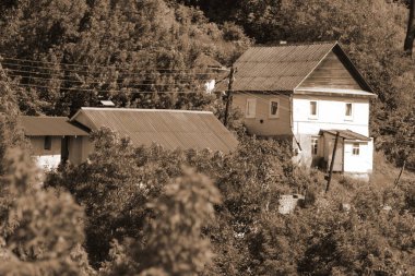  Bekarlık eski ormanda başlar.