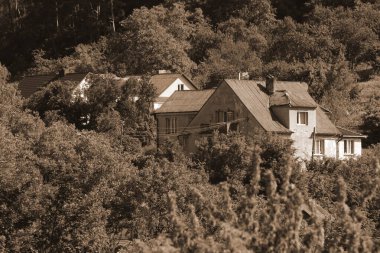  Bekarlık eski ormanda başlar.