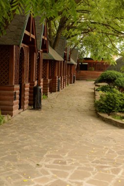  Ormandaki dinlenme alanı.