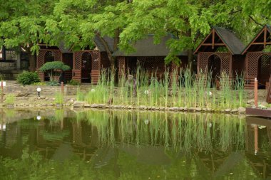 Ormandaki dinlenme alanı.