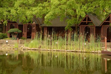 Ormandaki dinlenme alanı.