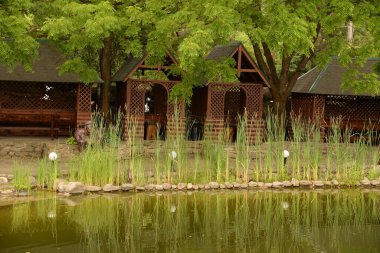 Ormandaki dinlenme alanı.