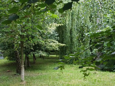 Sessiz köşe güzel doğa