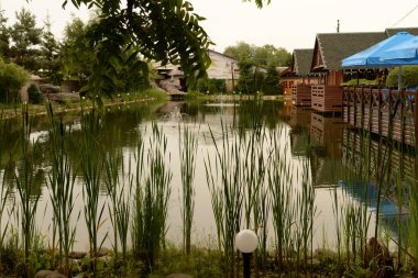  Ormandaki dinlenme alanı.