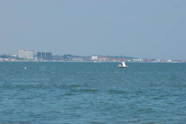 Karadeniz (Latince Rucenum mare; Bulgarca:, Gürcüce:, abh. Amshin Eia, Rusça:, Romence: Marea Neagr, Kırım Tatarcası: Qara deiz, Türkçe: Karadeniz)