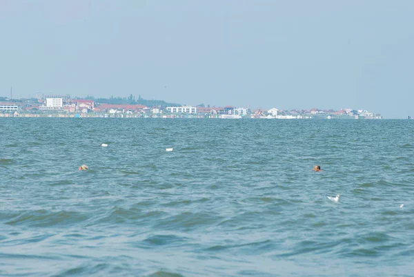 Mar Negro Latim Rucenum Mare Búlgaro Georgiano Abh Amshin Eia — Fotografia de Stock