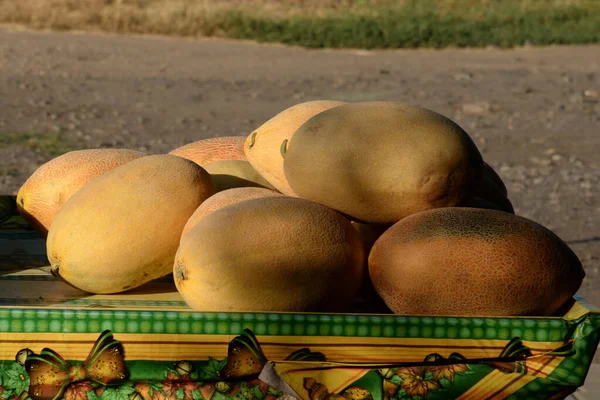 Melone Semina Melone Melo Sativus — Foto Stock