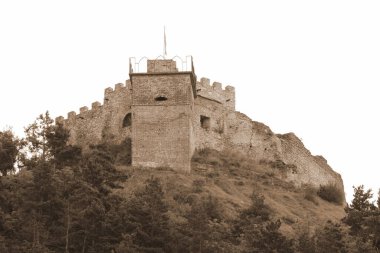  Castle Hill 'in genel manzarası