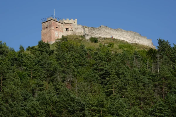 Загальний Вигляд Замковій Горі — стокове фото