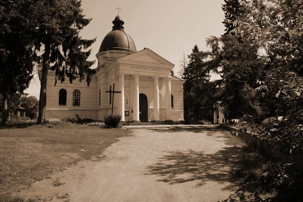 Kyrkan Antagandet Jungfru Maria Ostroh Rivne Region Ukraina — Stockfoto