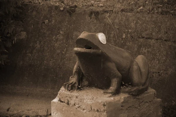 Frog Sculpture Arboretum — Stock Photo, Image