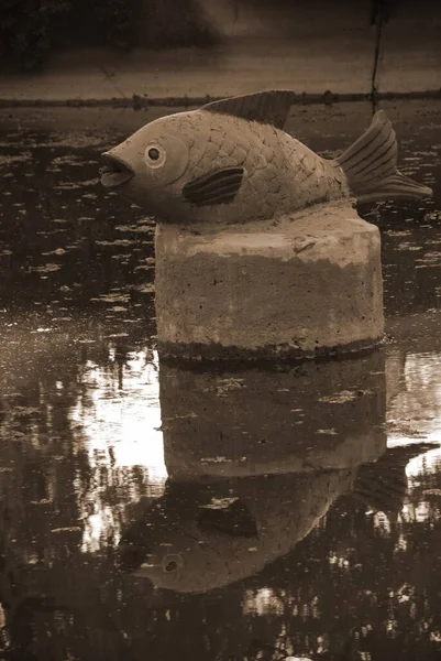 Scultura Del Pesce Nell Arboreto — Foto Stock