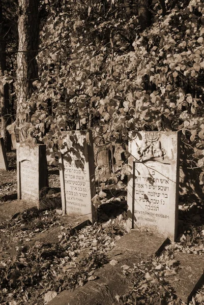 Ένα Παλιό Εβραϊκό Νεκροταφείο Στην Πόλη Της Slavuta Khmelnytsky Περιοχή — Φωτογραφία Αρχείου