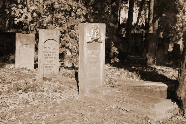 赫梅利尼茨基地区斯拉夫鲁塔市的一个古老的犹太人公墓 乌克兰 — 图库照片