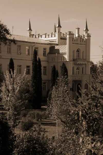 Kont Vorontsov Sarayı Genel Görüş — Stok fotoğraf