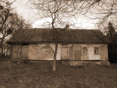  Bekarlık eski ormanda başlar.