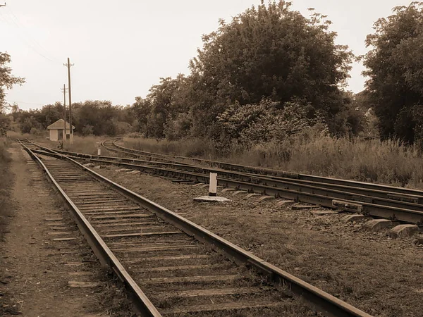 Ramo Ferroviário Visão Geral — Fotografia de Stock