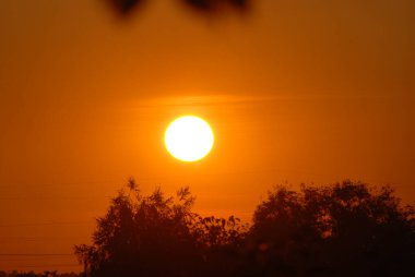 Ormanın üzerinde gün batımı