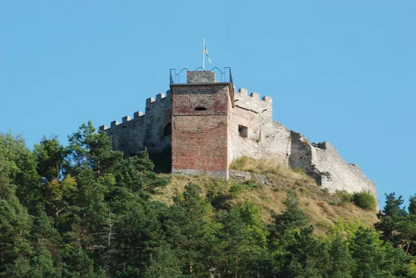 Mura Difensive Del Vecchio Castello — Foto Stock