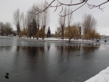 Göl kenarındaki kış parkı