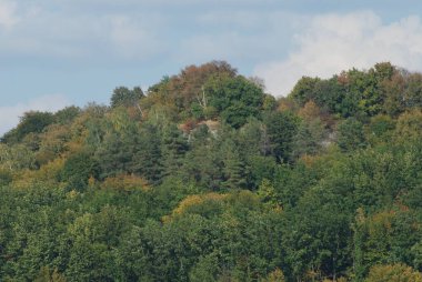 Dağ, kayalar, orman, ağaçlar, yamaç