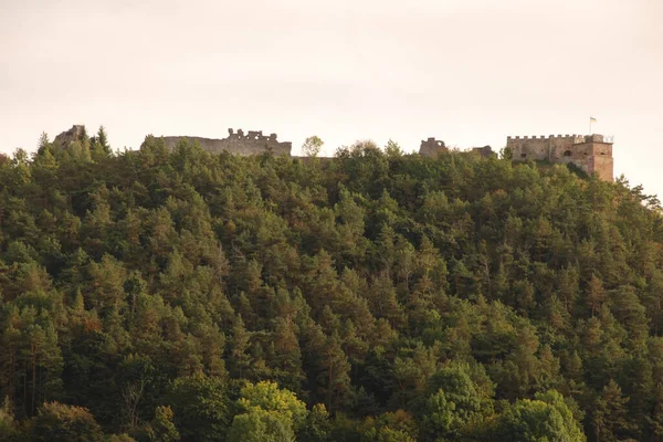 Montanha Castelo Bona Floresta Paredes Torre Portão — Fotografia de Stock