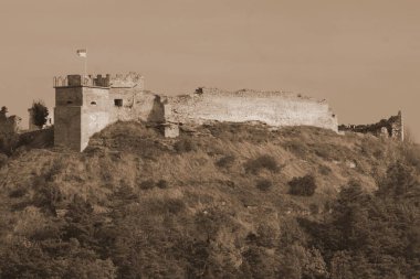 Dağ, kale, Bona, orman, duvarlar, kule, kapı