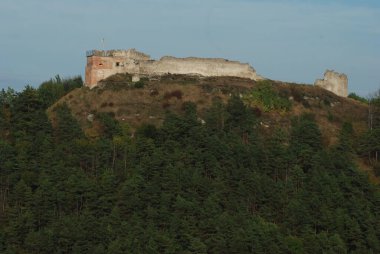 Dağ, kale, Bona, orman, duvarlar, kule, kapı