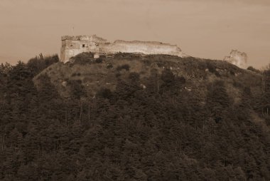 Dağ, kale, Bona, orman, duvarlar, kule, kapı