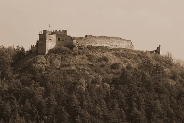 Montanha Castelo Bona Floresta Paredes Torre Portão — Fotografia de Stock