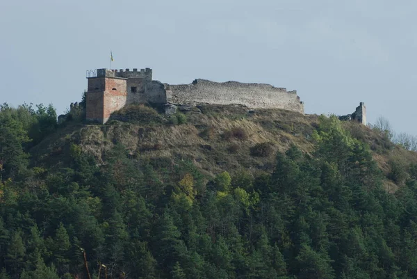 Vue Générale Colline Château — Photo