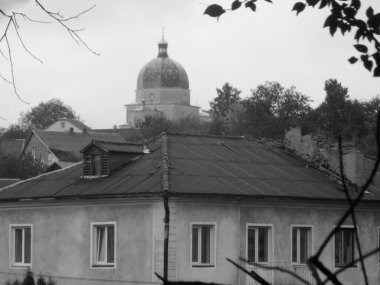 Meryem 'in Doğumu Kilisesi (Tunytska). Köyün kıyısındaki Antik Ortodoks Kilisesi. Ukrayna köyündeki ahşap ev. Ormanın kıyısındaki köy.
