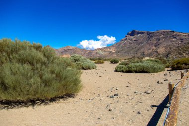 Milli park del Teide, sihirli park görünümünü